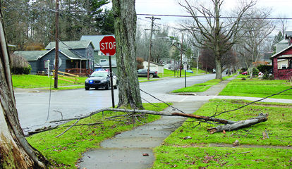 High winds down branches, power lines in region | News ...