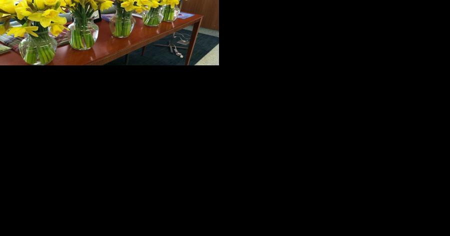 American Cancer Society Daffodil Days will help cure those wintertime blues - Vimarsana News