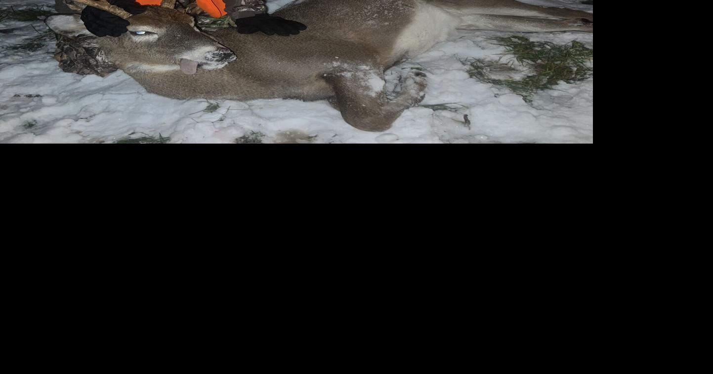 Pennsylvania's rifle deer season opens Nov. 29