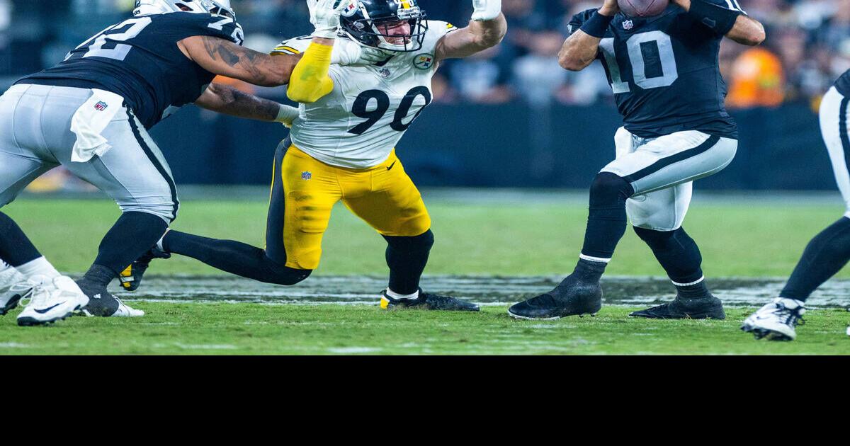 Steelers T.J. Watt named AFC's defensive player of the year