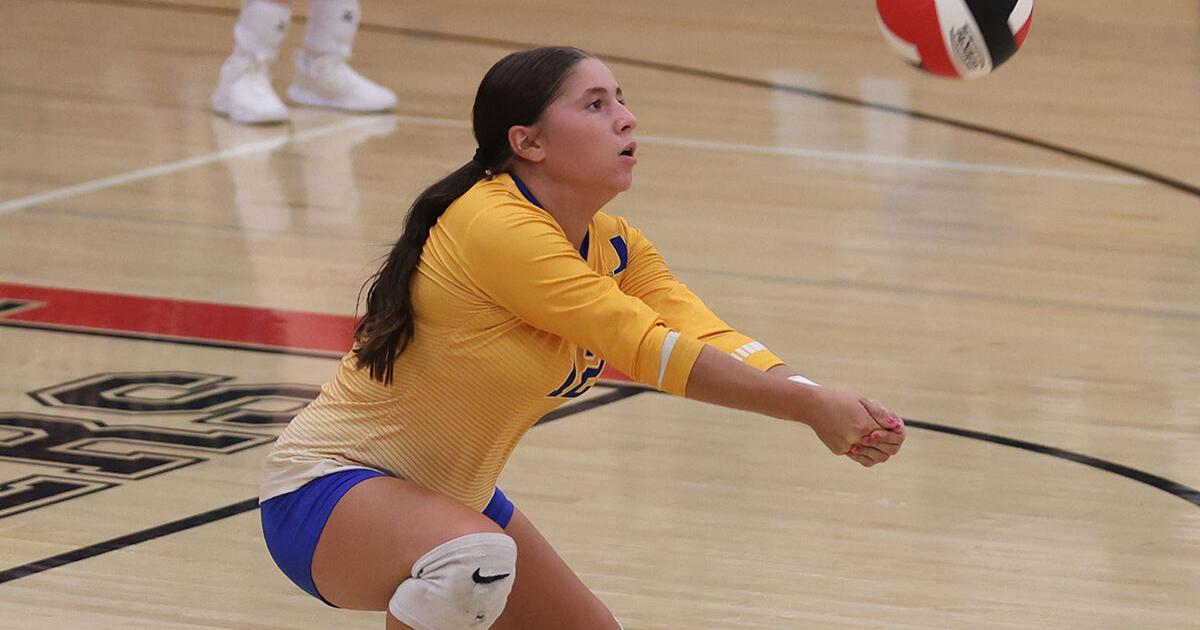 Low numbers aren't focus for Damsels VB