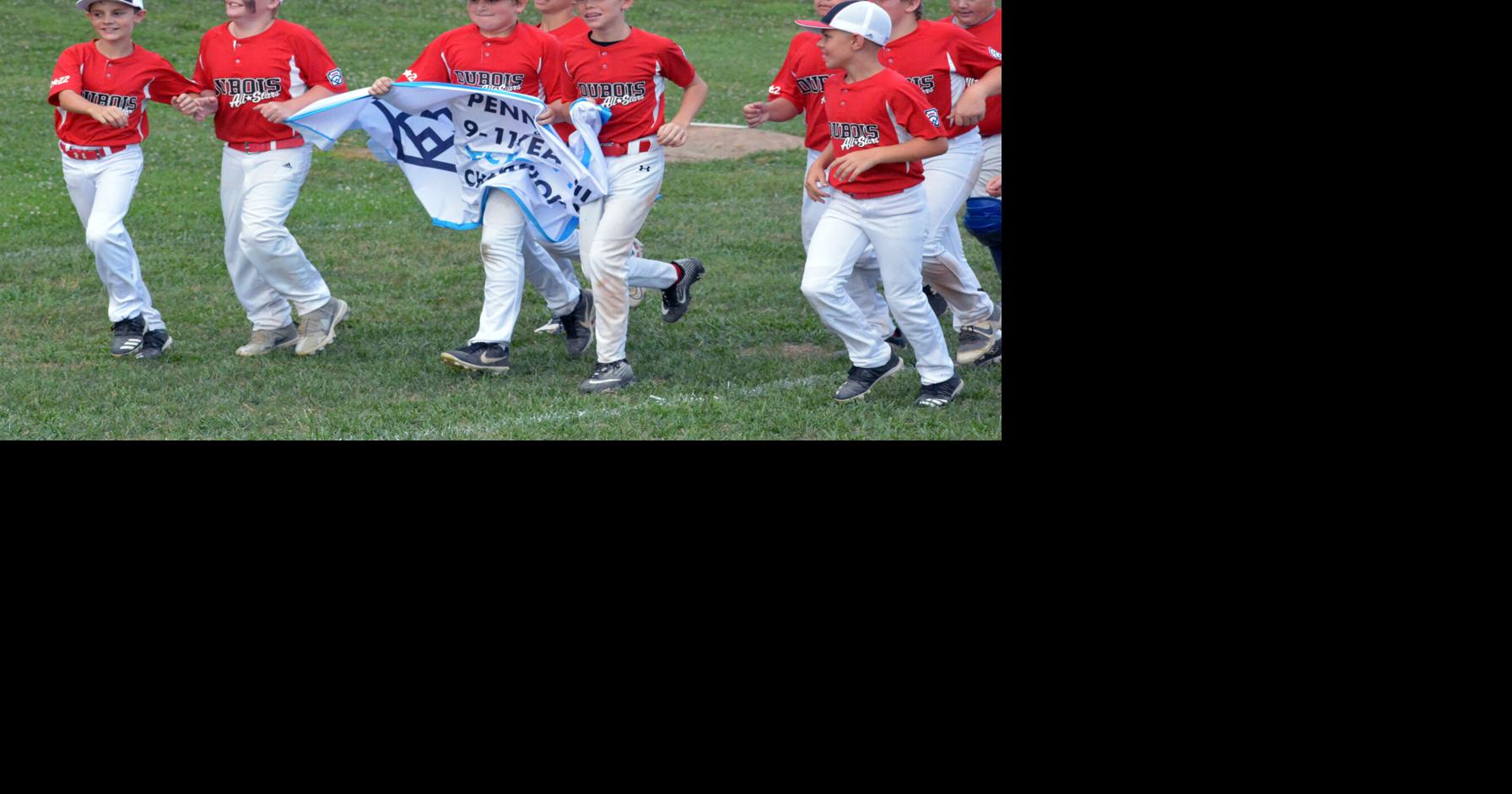 Lake Bluff Youth Baseball Association