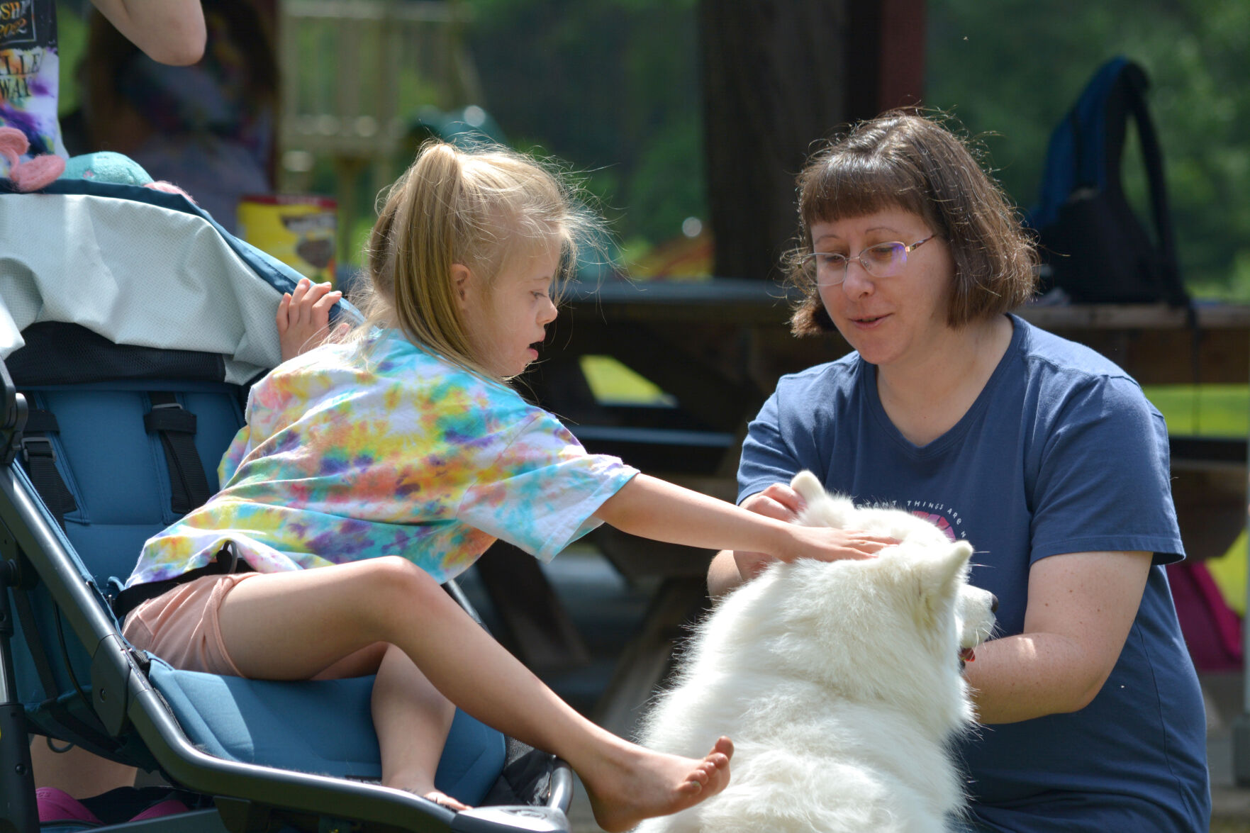 Clarion canine obedience store club