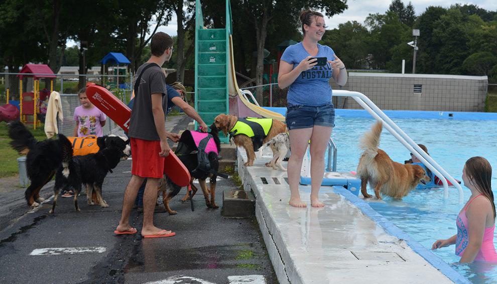 SPLASH asks Punxsutawney Borough Council for more help with community