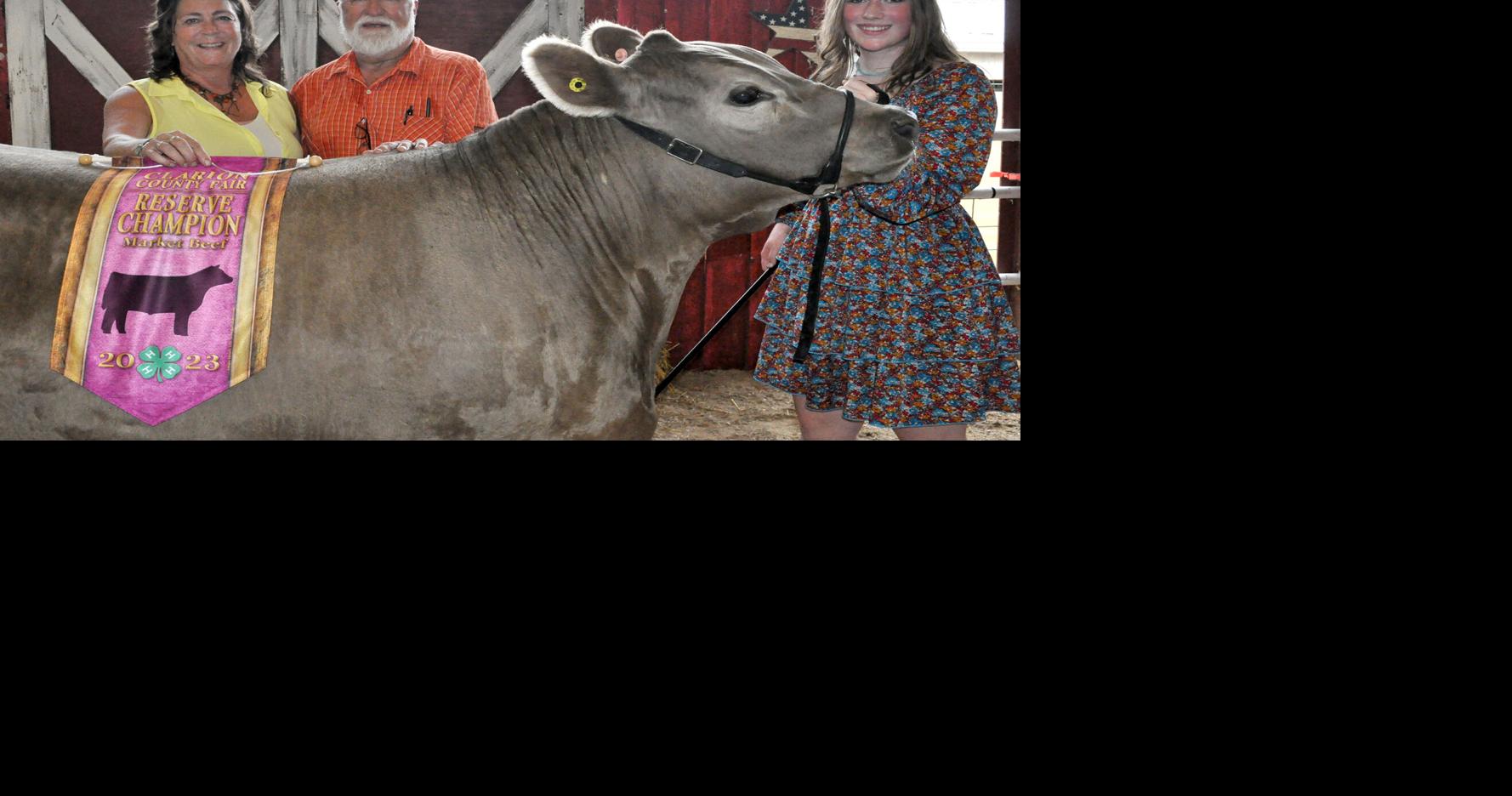Clarion County Fair's livestock auction brings in 215,000 News