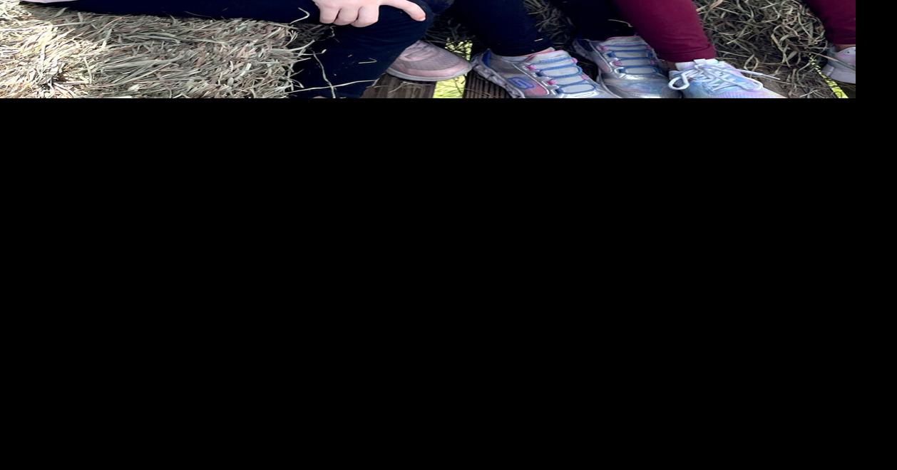 Apple Crunch Day at Sligo Elementary School News