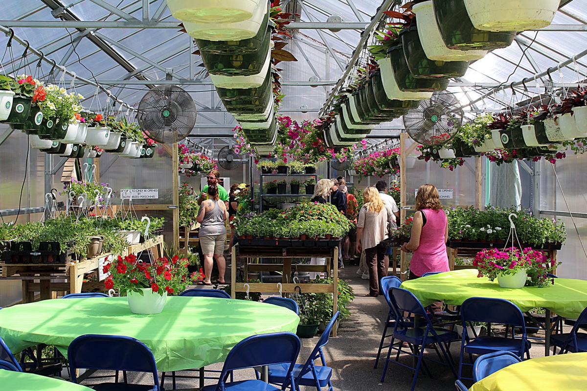 Goodwill holds grand opening of its biggest greenhouse yet News