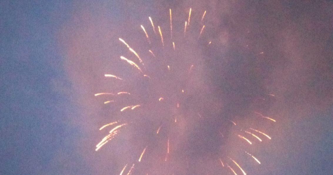 Independence Day Celebration lights up Treasure Lake - Vimarsana News