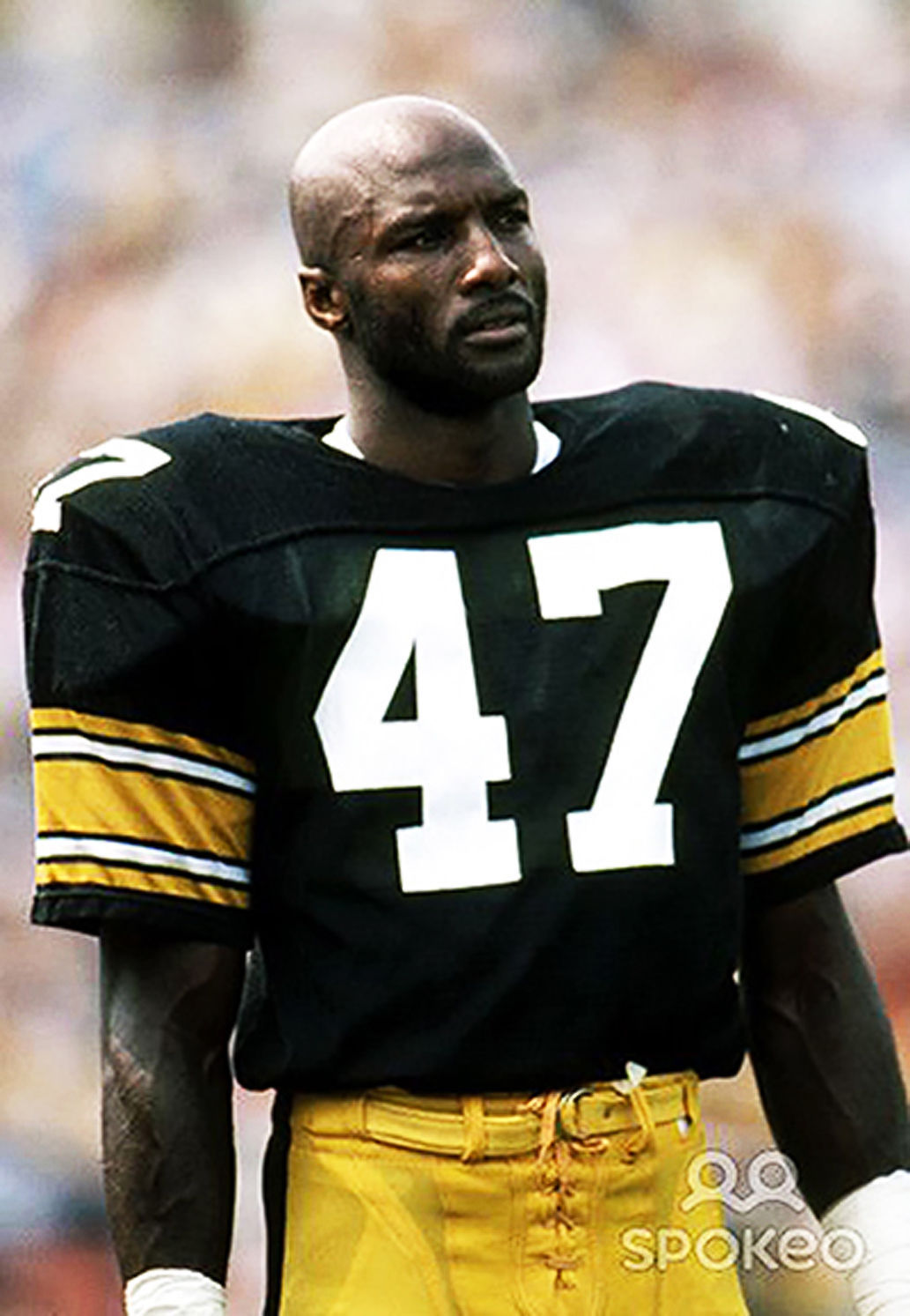 Mel blount deals