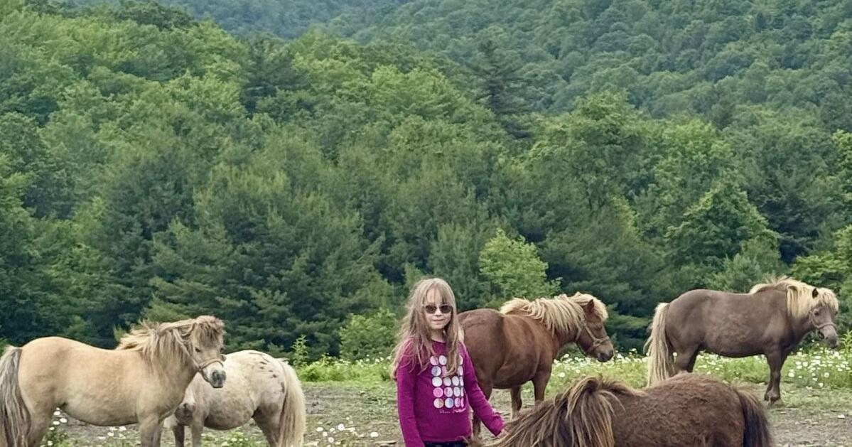 DuBois family seeks community support for daughter's medical alert dog