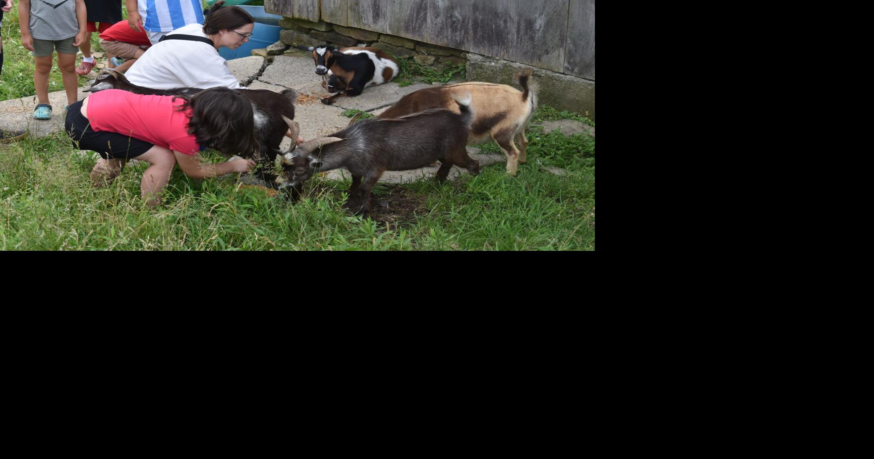Farm Fest 2026 draws record number of visitors, vendors to Calhoun Farm