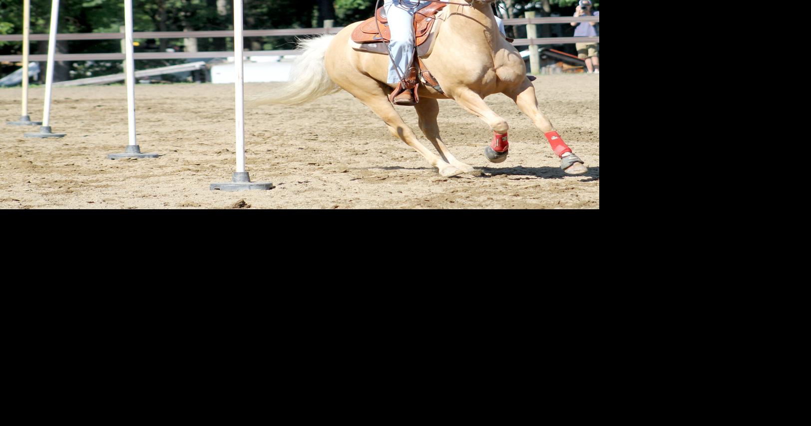 Local 4-H youth win ribbons for horse entries