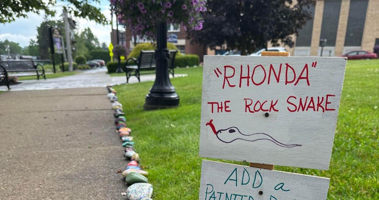 'Rhonda the Rock Snake' initiative brings positivity, unity to St. Marys - Vimarsana News