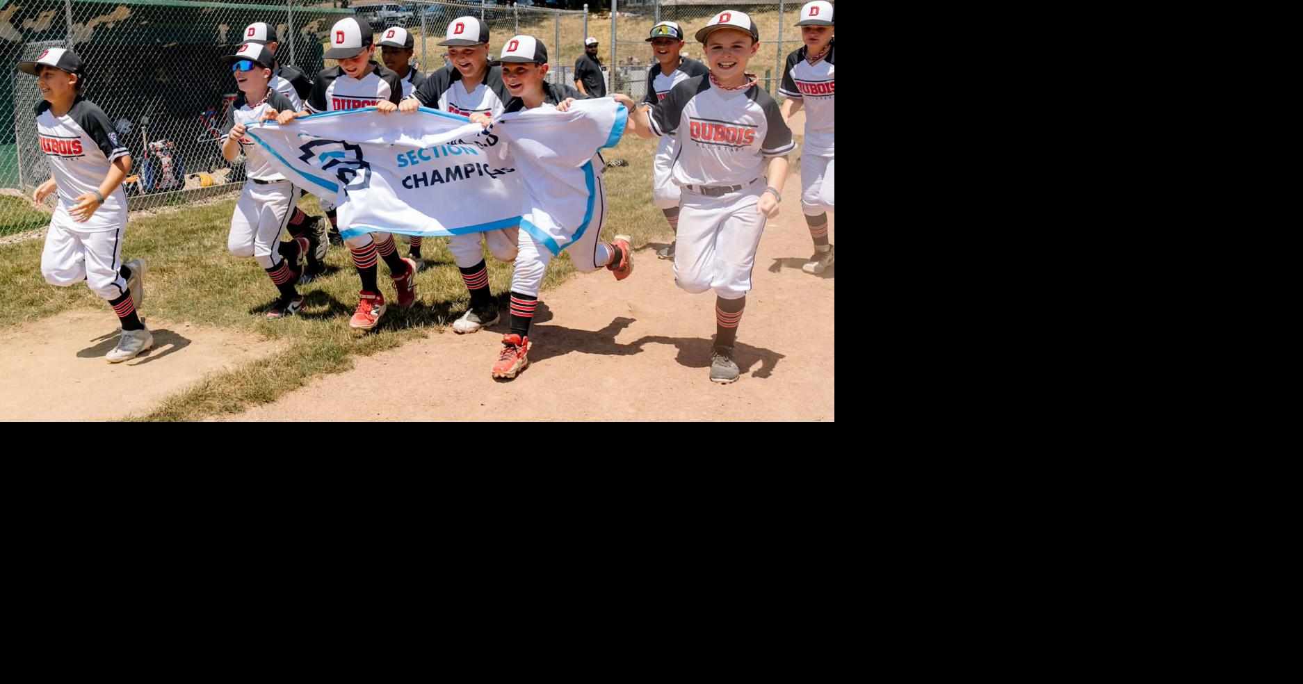 DuBois 11s sweep Section 1 tourney to qualify for states