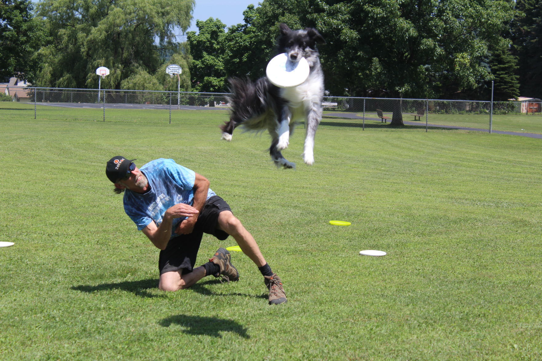 disc dog competition