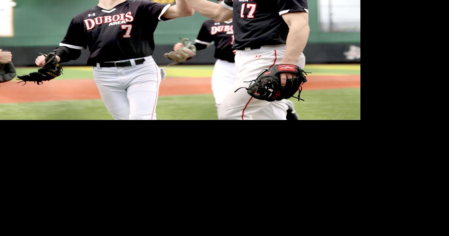 Farrell, Ho combine for two-hit shutout as Beavers top Punxsy ...