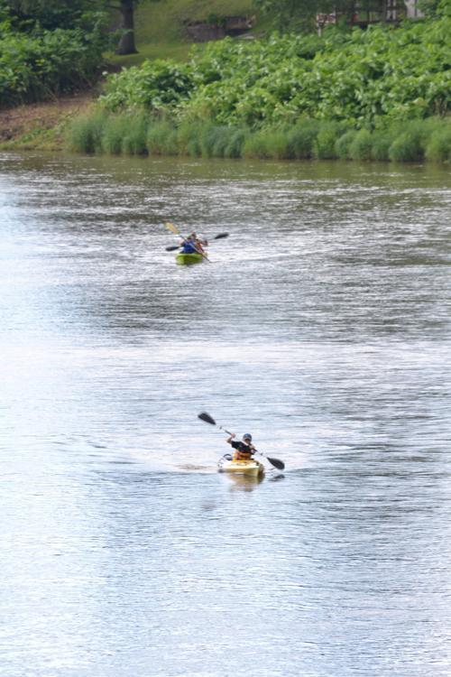 Laurel Festival Kayak Race