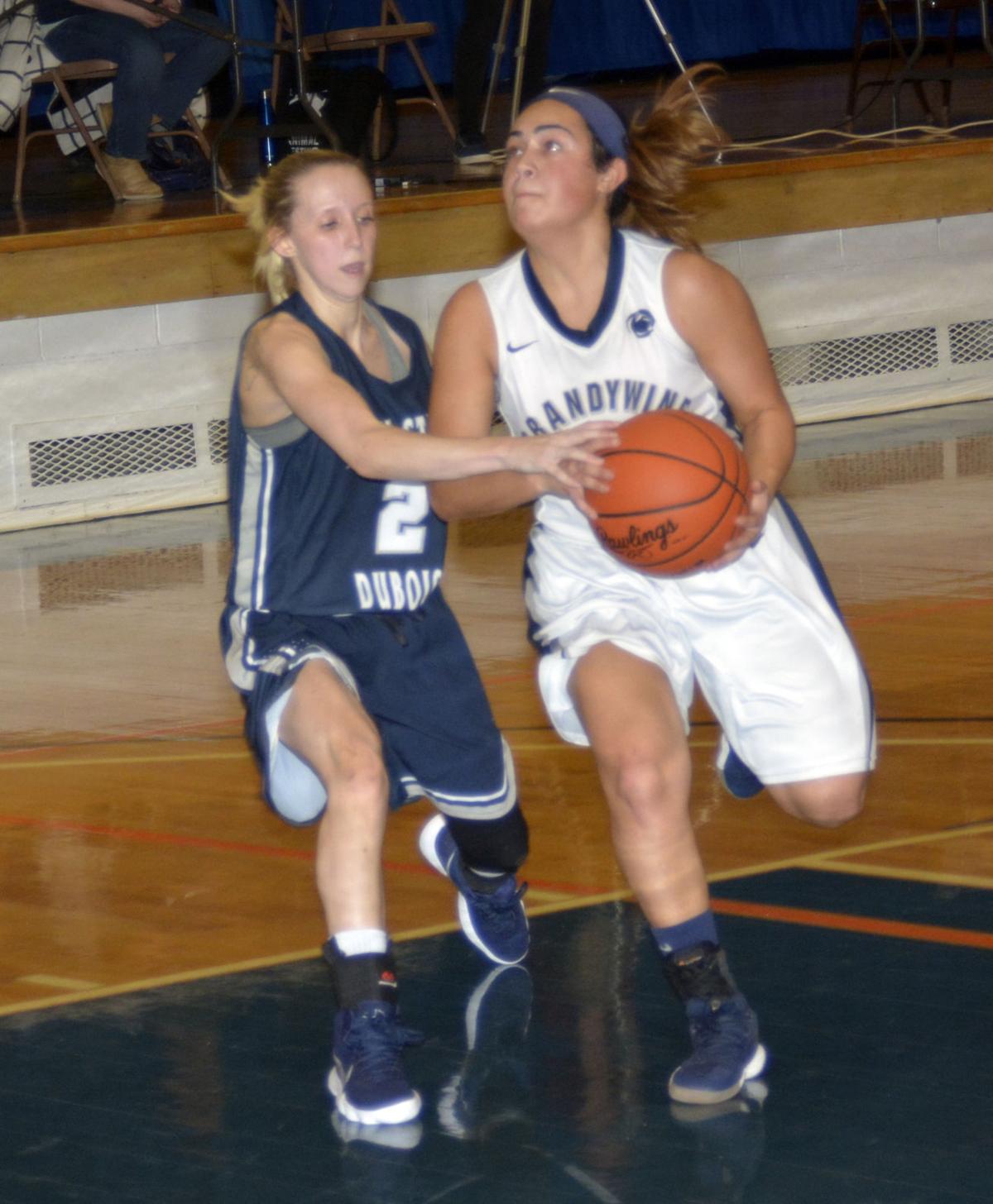Psu Dubois Women Fall To Brandywine 55 43 Sports