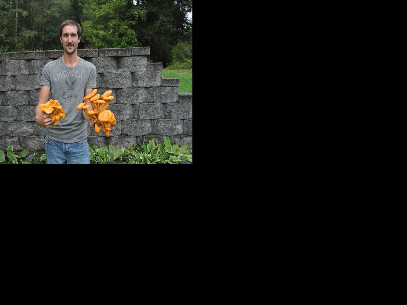 Area Man Has Passion For Stalking Edible Wild Mushrooms News Thecourierexpress Com