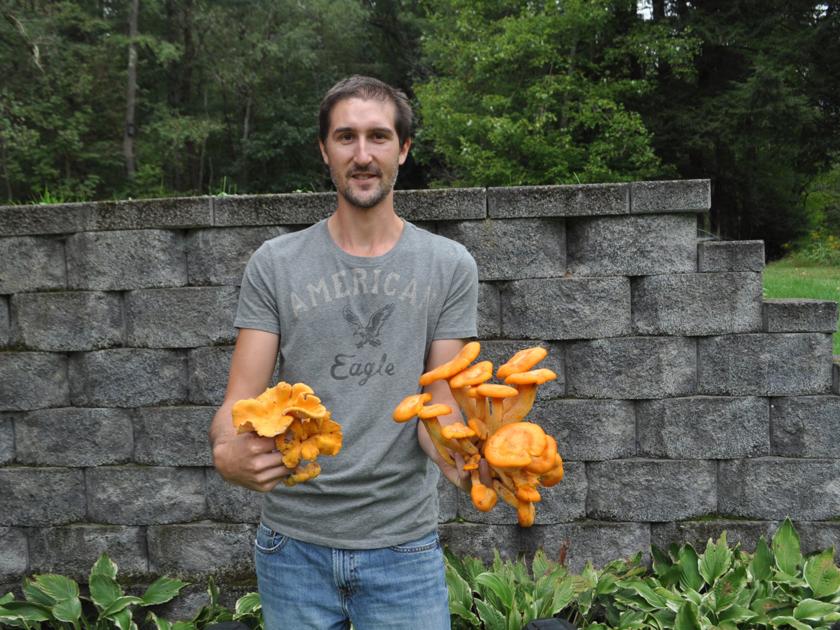 Area Man Has Passion For Stalking Edible Wild Mushrooms News Thecourierexpress Com