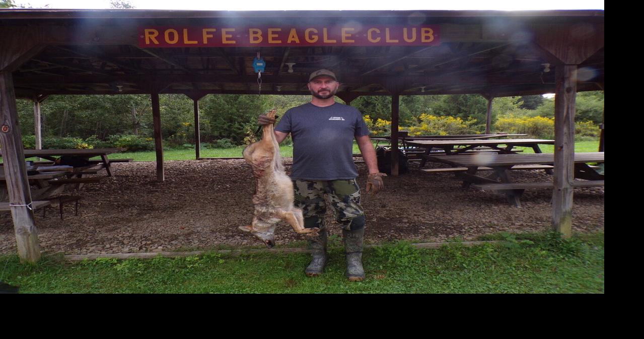 Kersey man bags four coyotes in Rolfe Beagle Club hunt