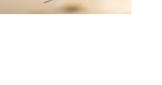Pa. endangered species series: Tricolored bat | Local