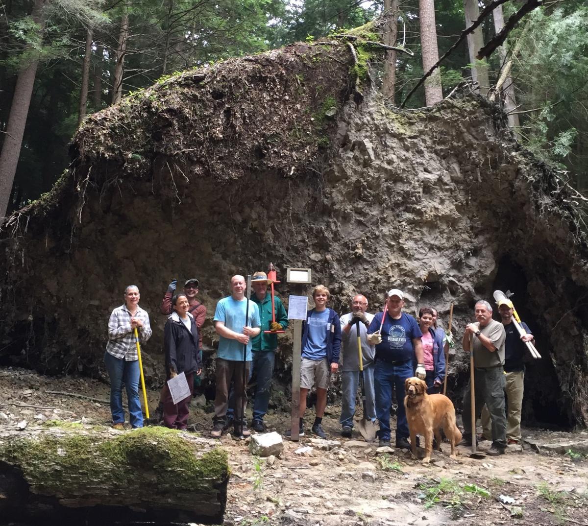 Friends of Cook Forest work to revitalize historic park ...