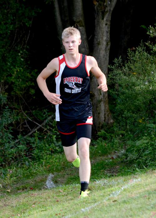 20170913-ce-sp Pearce exit woods 1