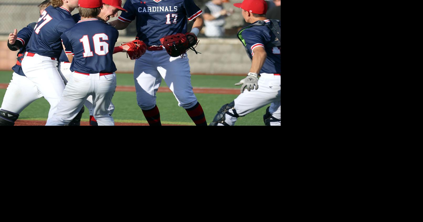 DCC baseball bests Clarion for D-9 A title | Baseball ...