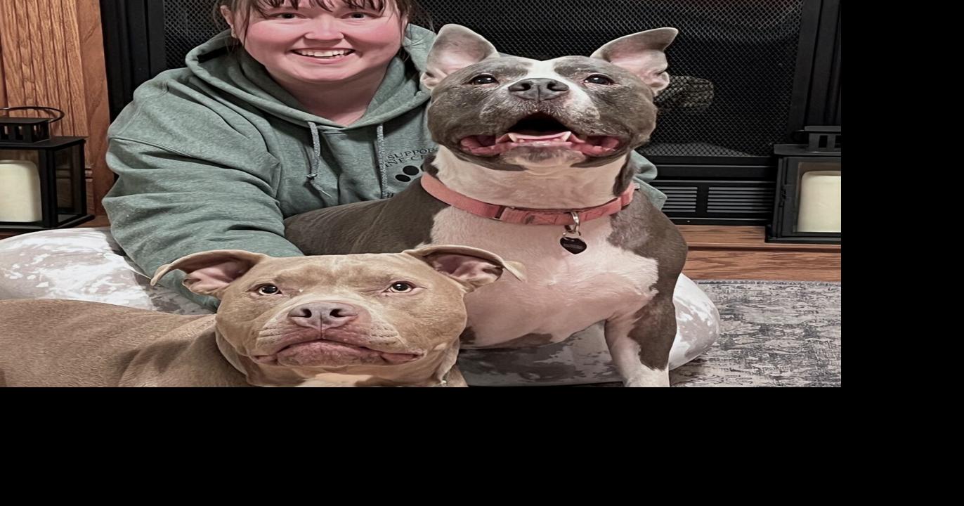 Punxsutawney woman starts wedding sidekick service for pet owners | News