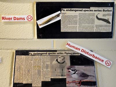 Newspaper articles on wall (copy)