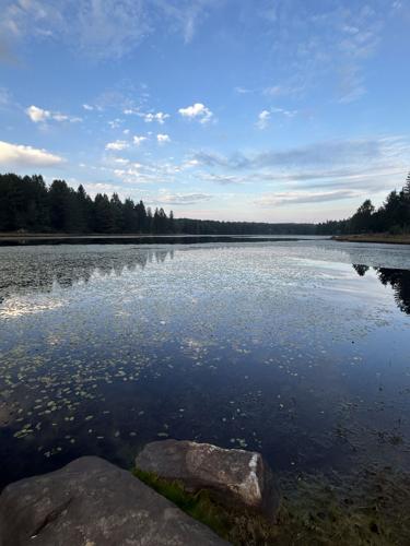 Beaver Meadows landscape shot