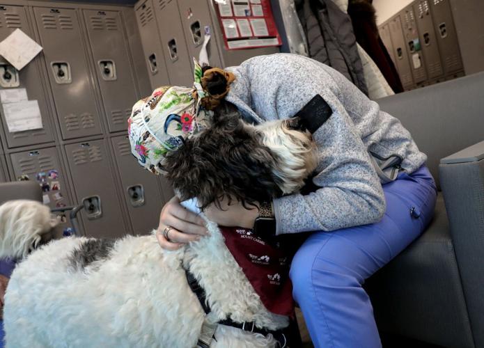 Holly Riegel with therapydog