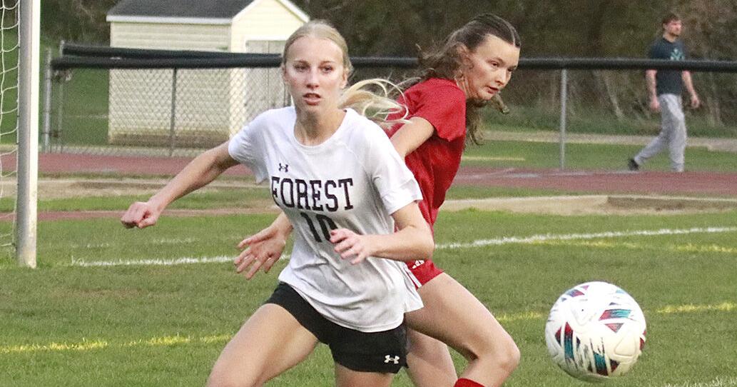 Lady Bulldogs bow out, 2-1