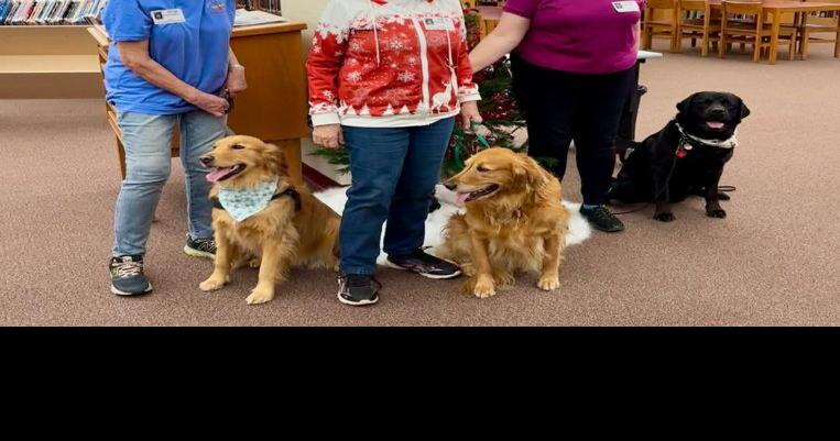 Therapy dog group brings wagging tails to Punxsutawney Area School District | News