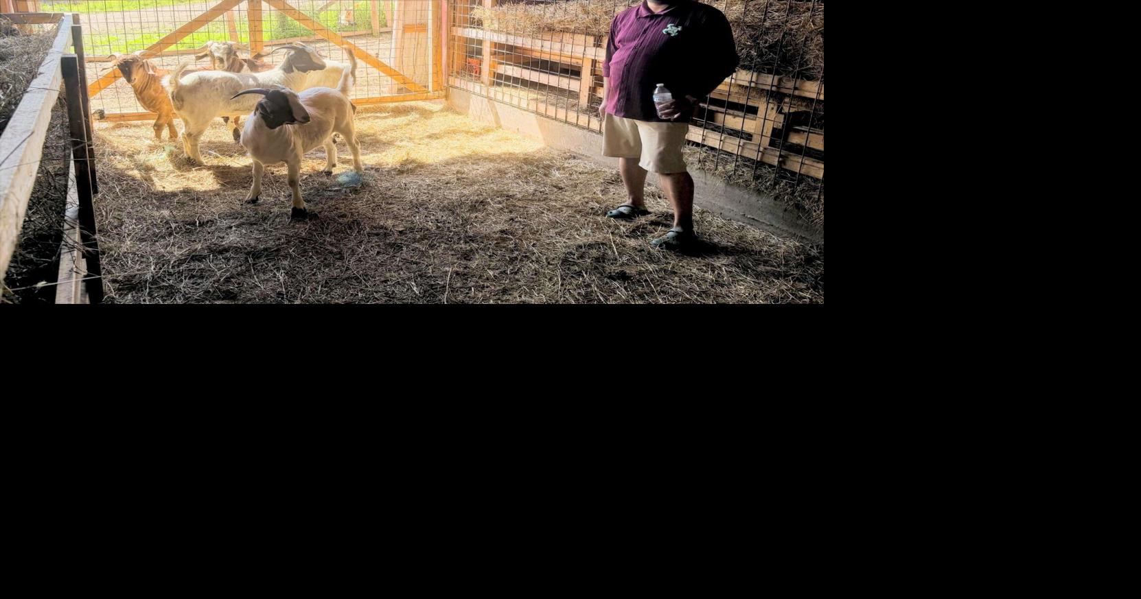 FARM TO TABLE: Gauley Farm - serving a clientele with distinctive requirements