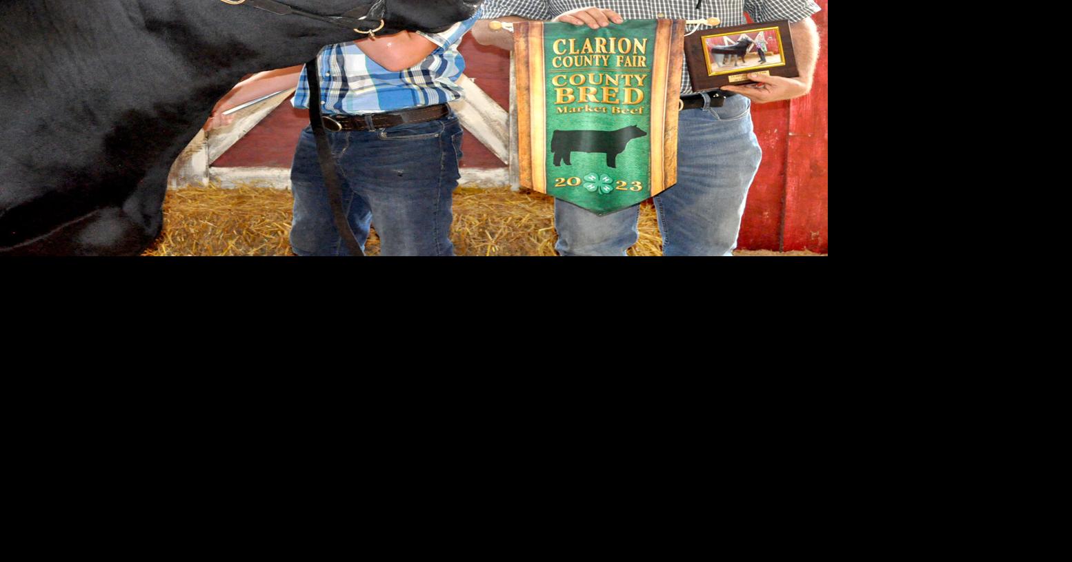 PHOTO GALLERY Clarion County Fair Livestock Sale News