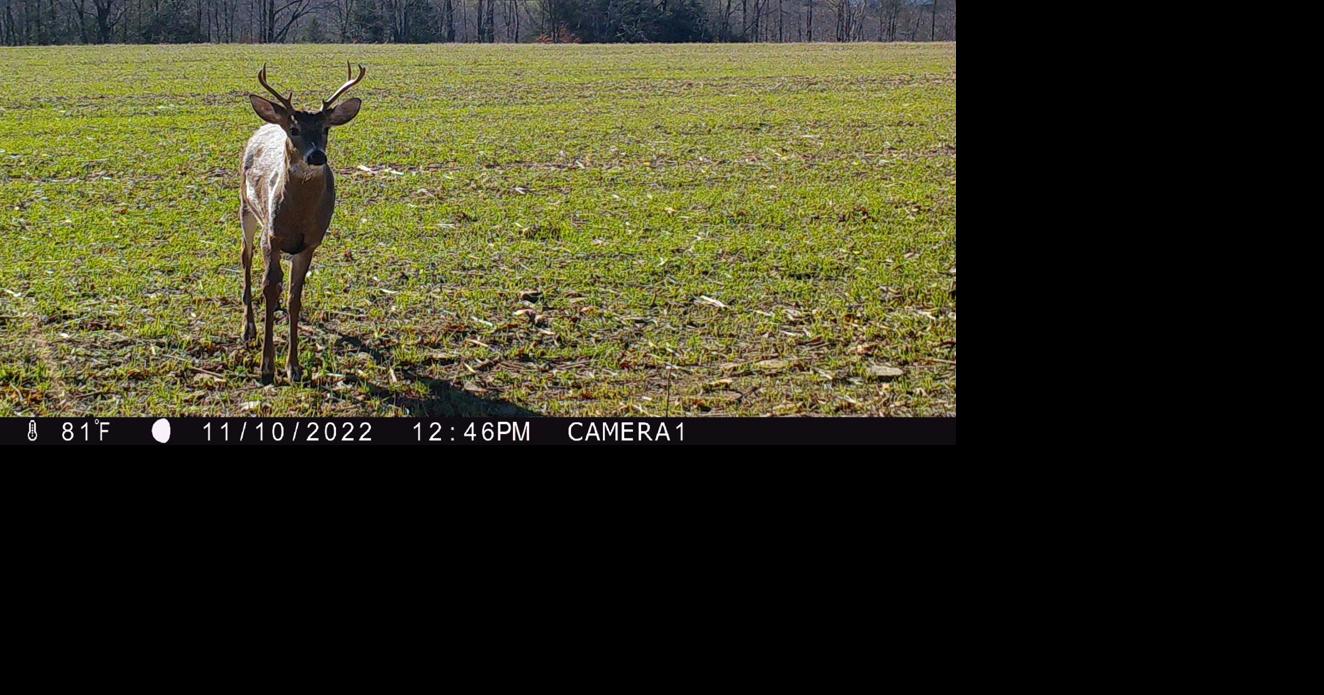 Statewide Firearms Deer Season Opens Today News 6484