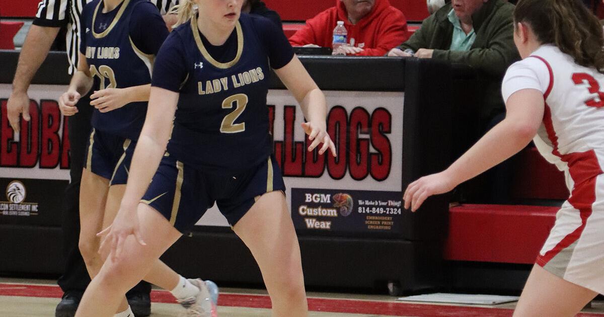 Lady Lions fall to Punxsy, Redbank Valley