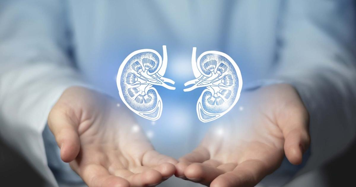 Chronic kidney disease: The silent menace | Chronic kidney disease: The silent menace |