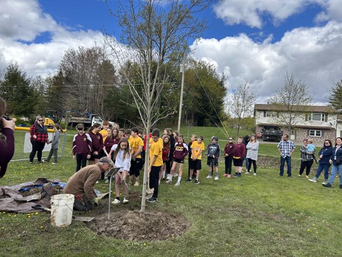 Tree planting held at Benzinger Park in celebration of Arbor Day | News ...