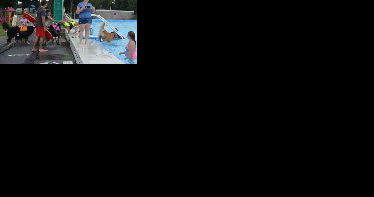 SPLASH seeking vendors for upcoming community sale fundraiser - Vimarsana News