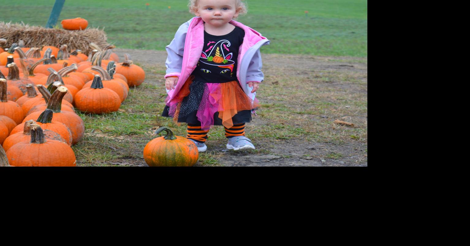 Cooper Farm Market Pumpkin Fest an important tradition to many News
