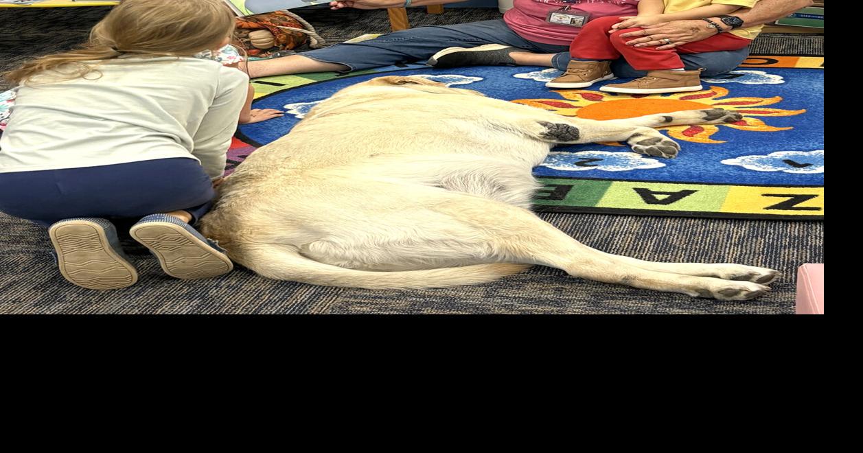 Celebrating Story Time