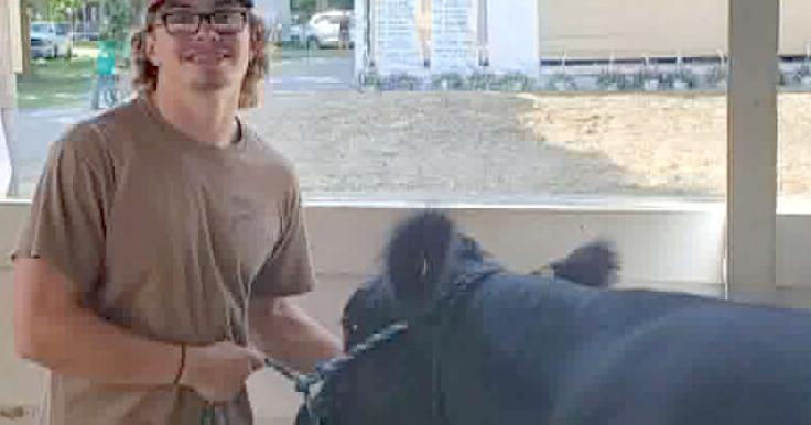 4-H SPECIAL SECTION: Redbank 4-H member to pursue career in agriculture (copy)