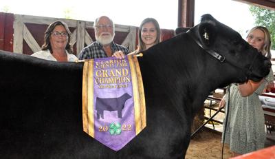 L-V VIDEO: 4-H Livestock Sale