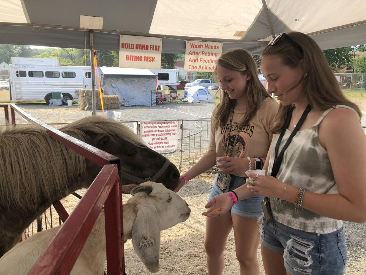 How Much Is Entrance Fee For 2022 Clearfield County Fair