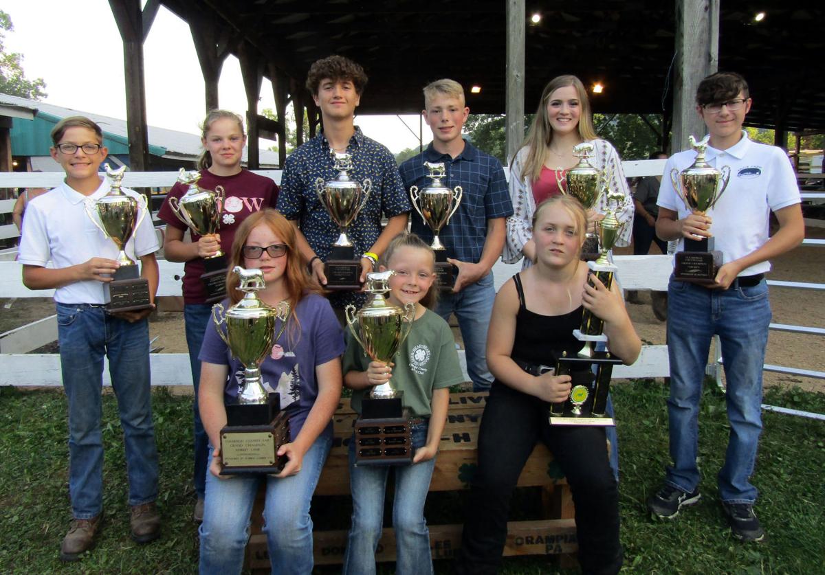 How Much Is Entrance Fee For 2022 Clearfield County Fair