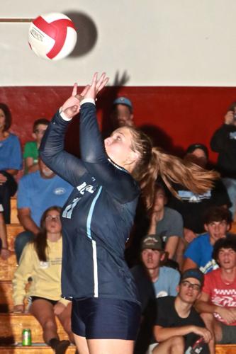 Olivia Olson - Volleyball - Clarion Athletics