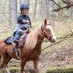 Big Maple Farms establishes endowment fund - Vimarsana News
